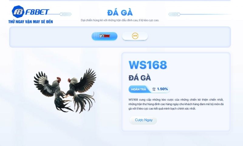 Những loại hình cá cược đá gà được ưa chuộng trên F8BET